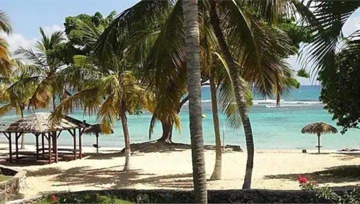 Karibeko : Exceptionnel & Rare : Plage , Piscine, Wifi Prive سانت فرانسوا المظهر الخارجي الصورة