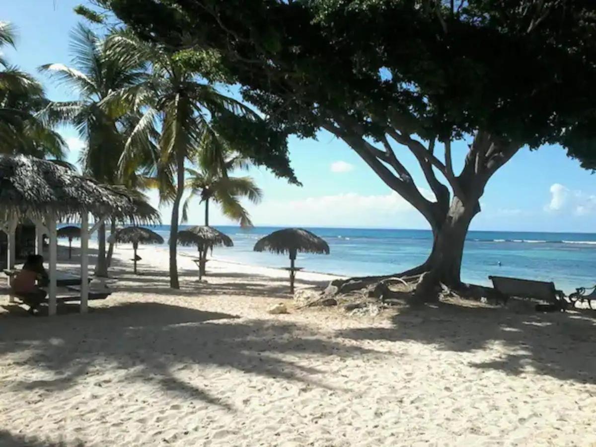 Karibeko : Exceptionnel & Rare : Plage , Piscine, Wifi Prive سانت فرانسوا المظهر الخارجي الصورة